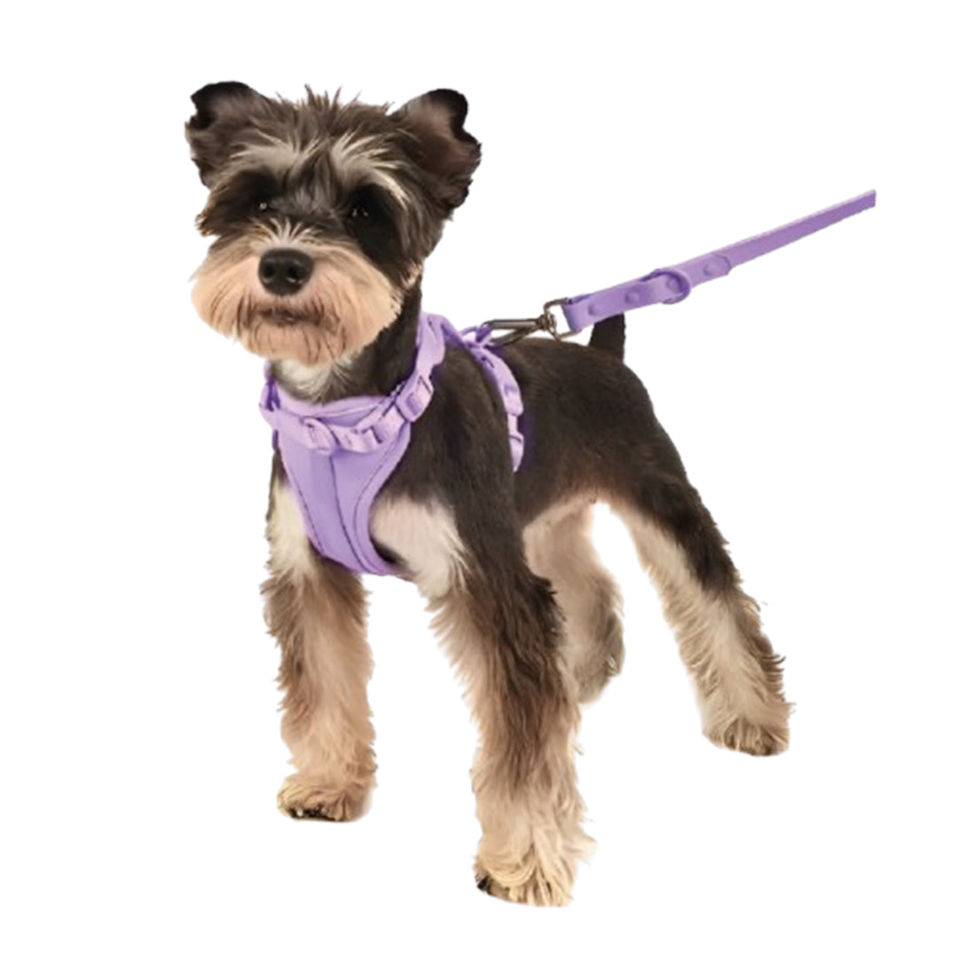 Correa y Pechera Ajustable Para Perros Lila - Talla M