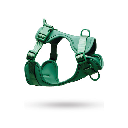 Correa y Pechera Ajustable Para Perros Verde - Talla S