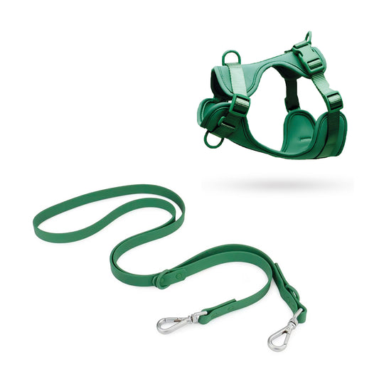 Correa y Pechera Ajustable Para Perros Verde - Talla S