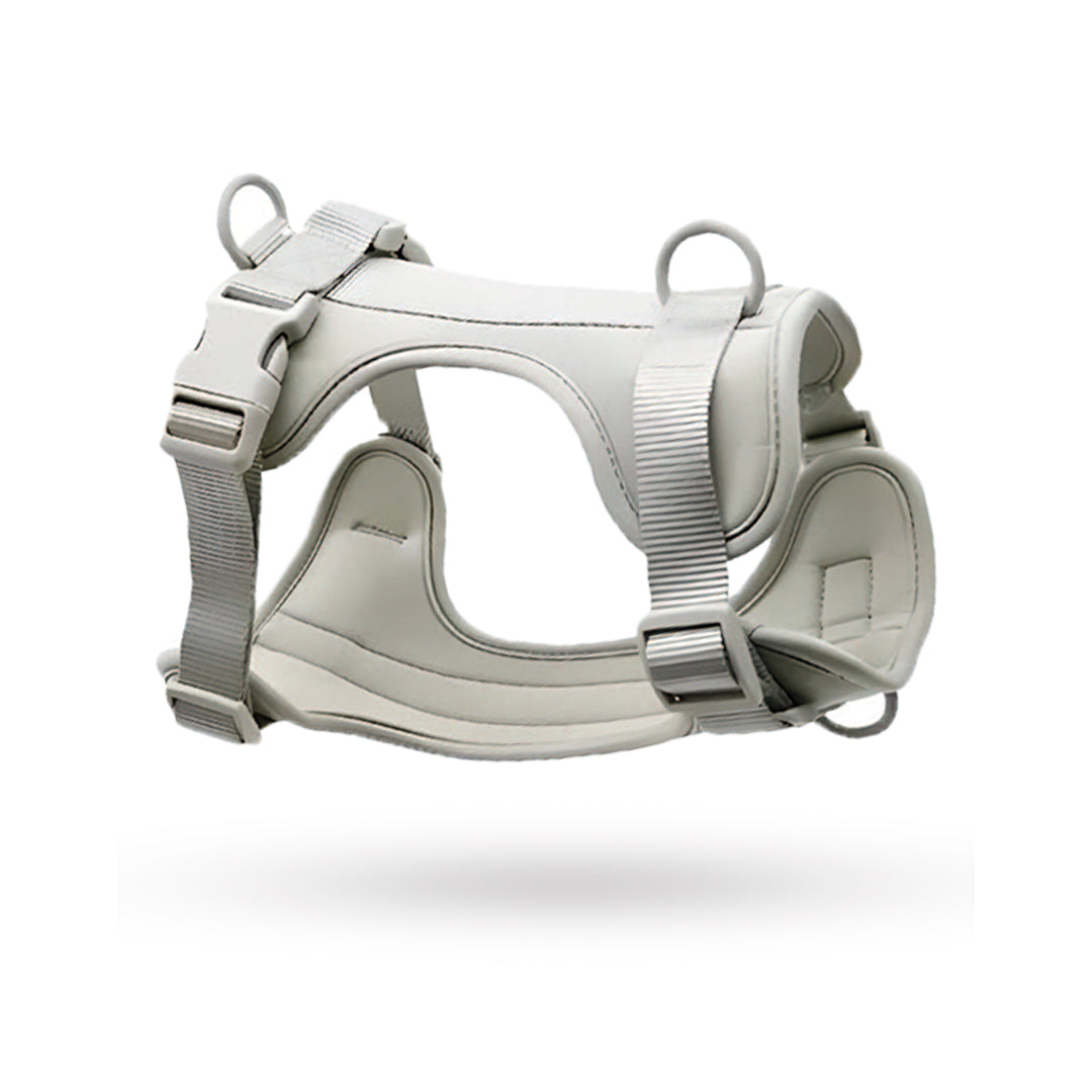 Correa y Pechera Ajustable Para Perros Gris - Talla S
