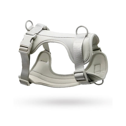 Correa y Pechera Ajustable Para Perros Gris - Talla S