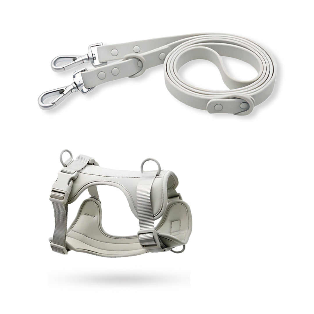 Correa y Pechera Ajustable Para Perros Gris - Talla S