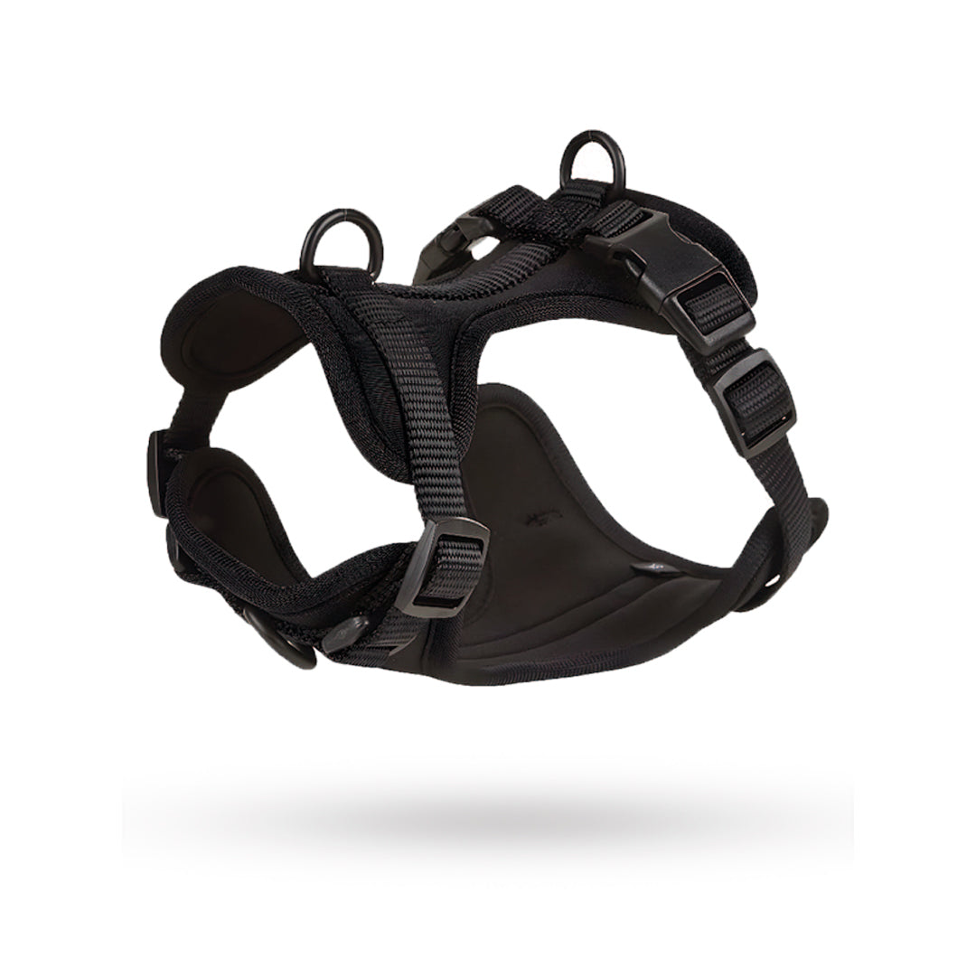 Correa y Pechera Ajustable Para Perros Negro - Talla S