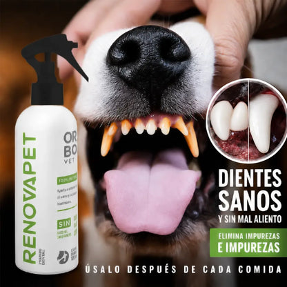 RENOVAPET ORAL 🐶 Adiós al sarro y mal aliento