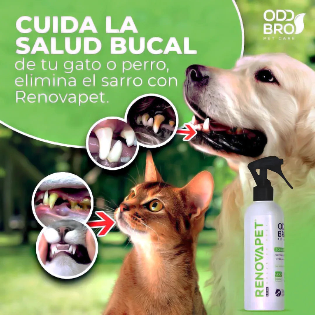 RENOVAPET ORAL 🐶 Adiós al sarro y mal aliento