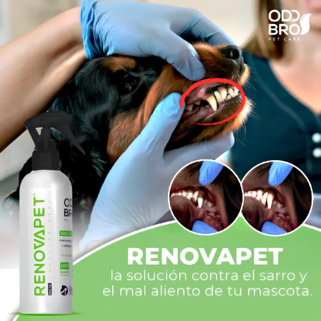 RENOVAPET ORAL 🐶 Adiós al sarro y mal aliento