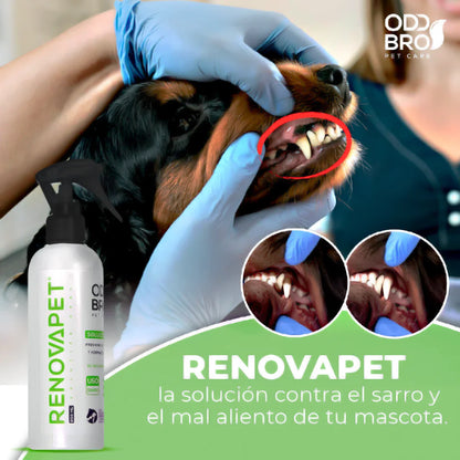 RENOVAPET ORAL 🐶 Adiós al sarro y mal aliento