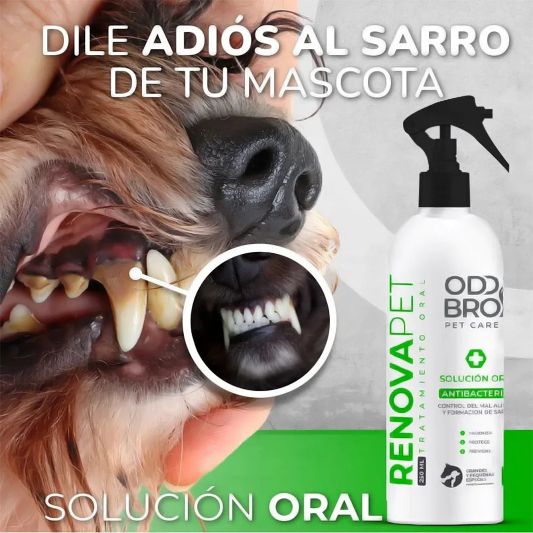 RENOVAPET ORAL 🐶 Adiós al sarro y mal aliento