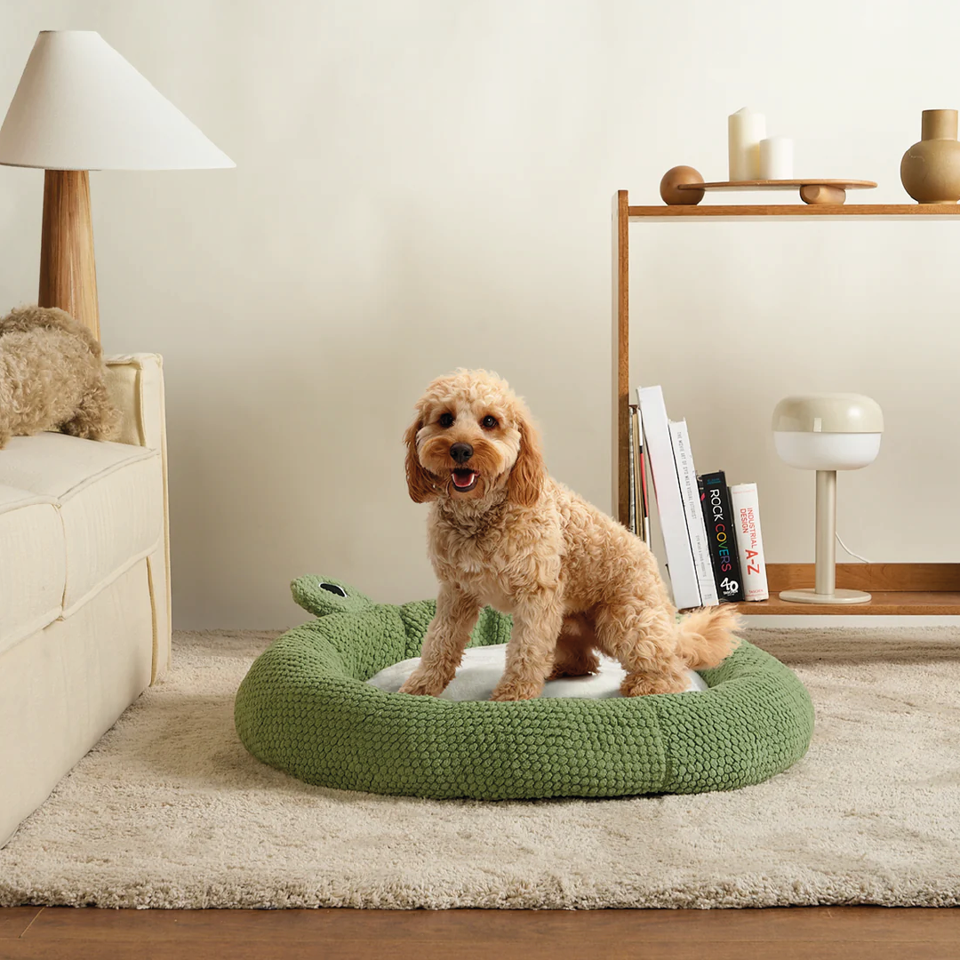 Cama Rana Donut Para Mascotas Terciopelo Suave Verde Talla M