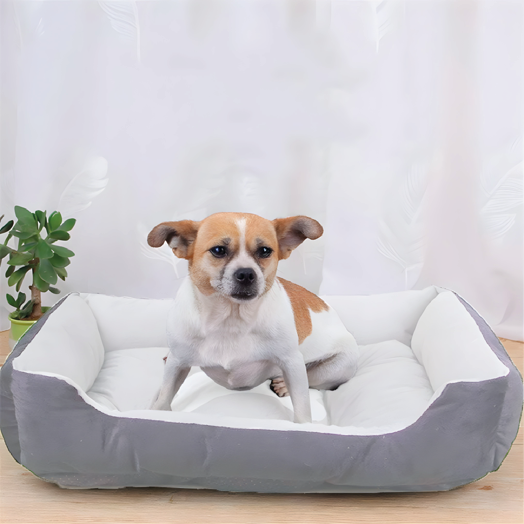 Cama Para Perros Antideslizante y Lavable Gris- Talla S