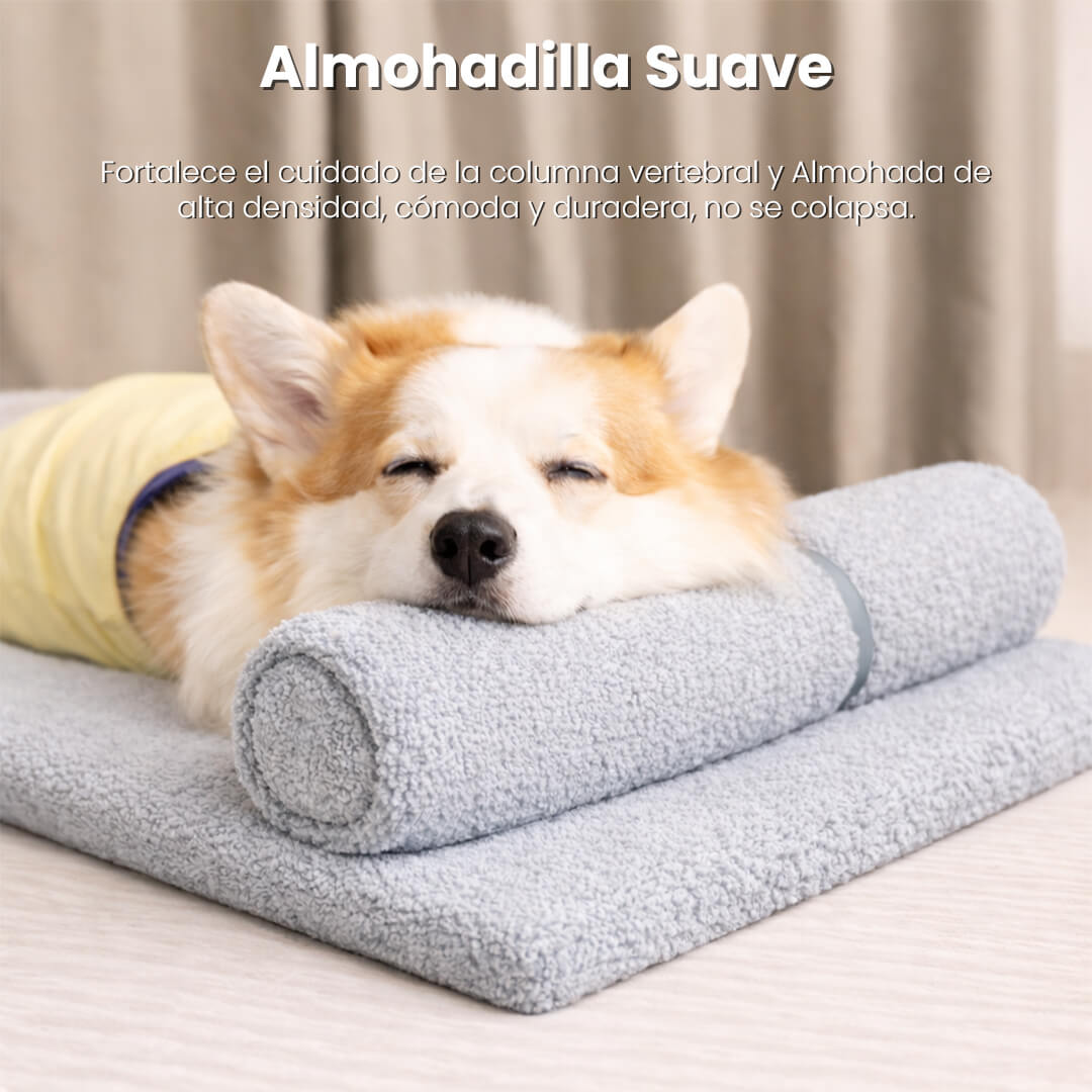 Cama Para Perro Con Almohada Felpa Conejo Gris Talla L- SG-PK-15-2L-GREY