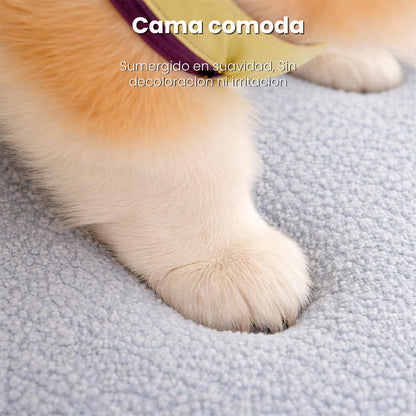 Cama Para Perro Con Almohada Felpa Conejo Gris Talla L- SG-PK-15-2L-GREY