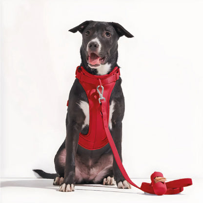 Correa y Pechera Ajustable Para Perros Rojo - Talla S