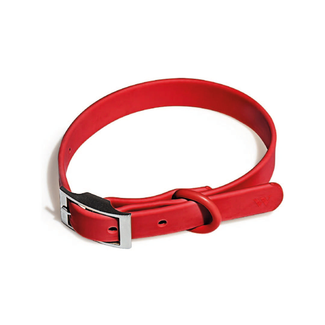 Pack Arnés + Collar + Correa + Dispensador Rojo - Talla S