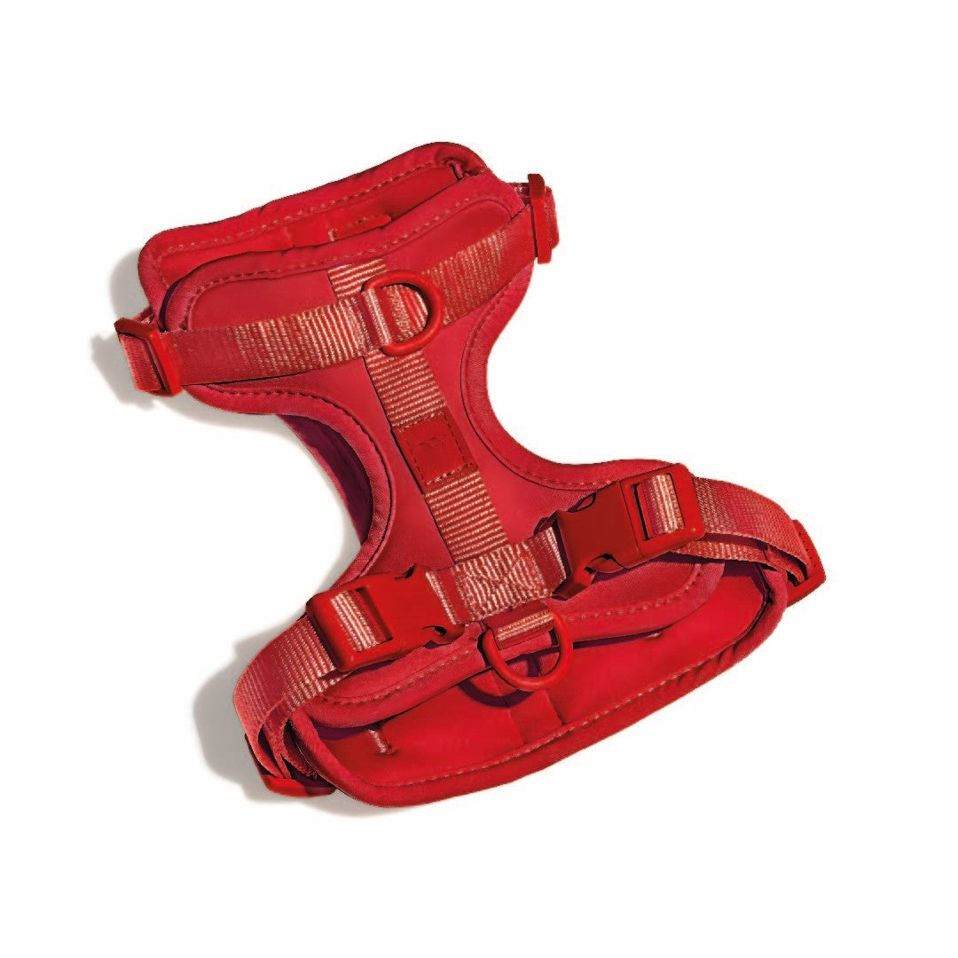 Correa y Pechera Ajustable Para Perros Rojo - Talla S