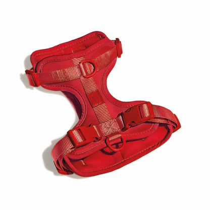 Correa y Pechera Ajustable Para Perros Rojo - Talla S