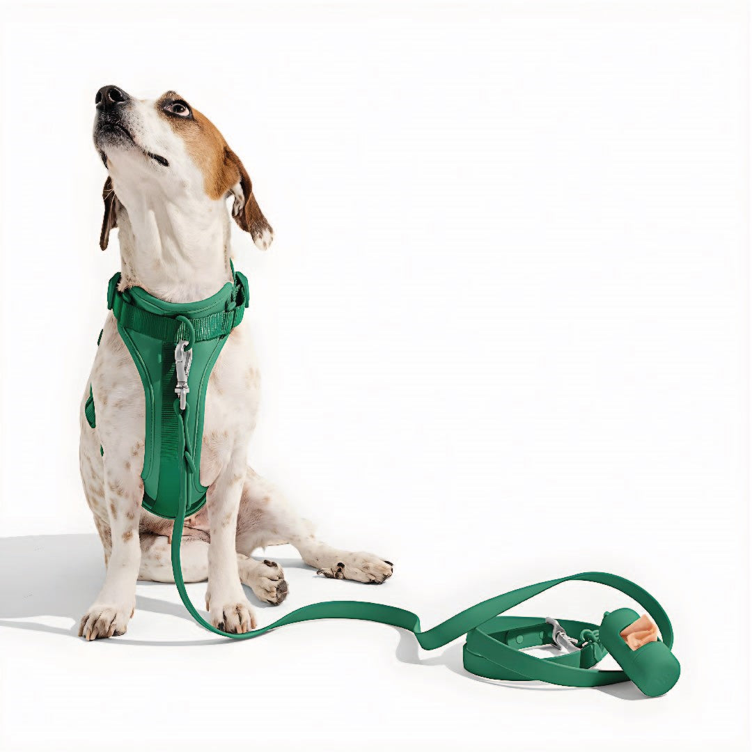 Correa y Pechera Ajustable Para Perros Verde - Talla S