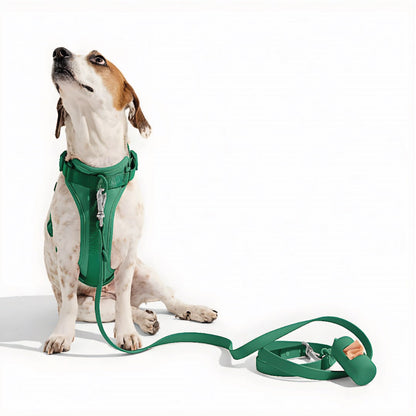 Correa y Pechera Ajustable Para Perros Verde - Talla S