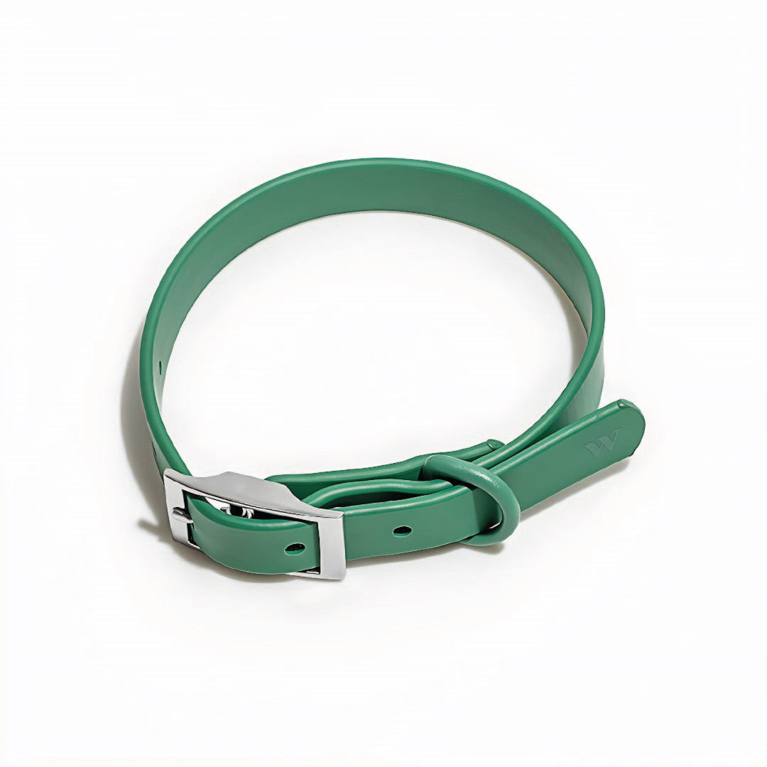 Pack Arnés + Collar + Correa + Dispensador Verde - Talla M