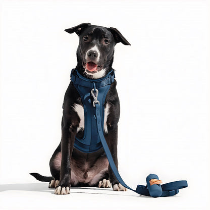 Correa y Pechera Ajustable Para Perros Azul Oscuro - Talla M