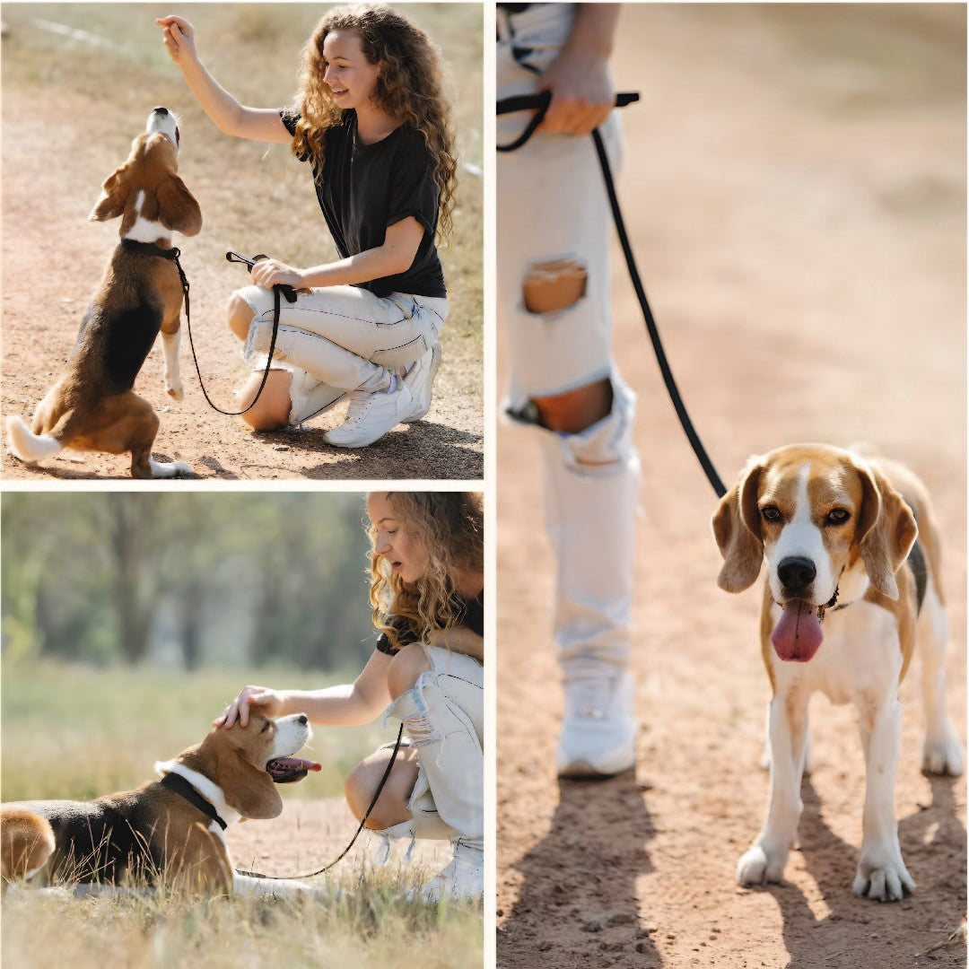 Correa y Pechera Ajustable Para Perros Negro - Talla S