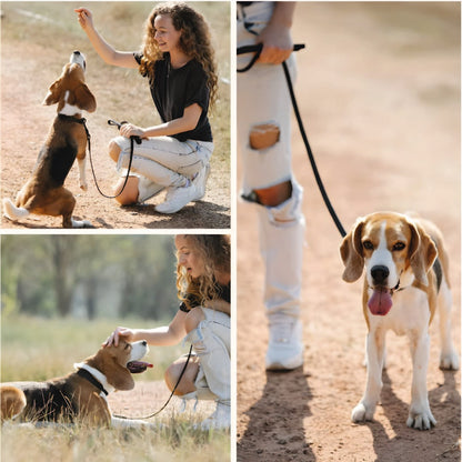 Correa y Pechera Ajustable Para Perros Negro - Talla S