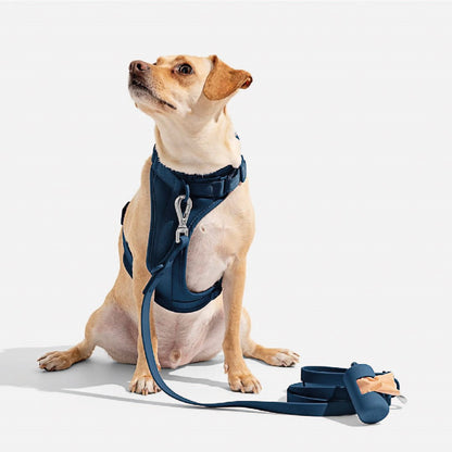 Correa y Pechera Ajustable Para Perros Azul Oscuro - Talla S