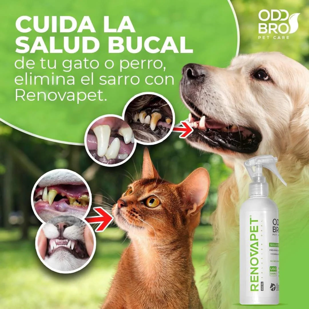 RENOVAPET ORAL 🐶 Adiós al sarro y mal aliento