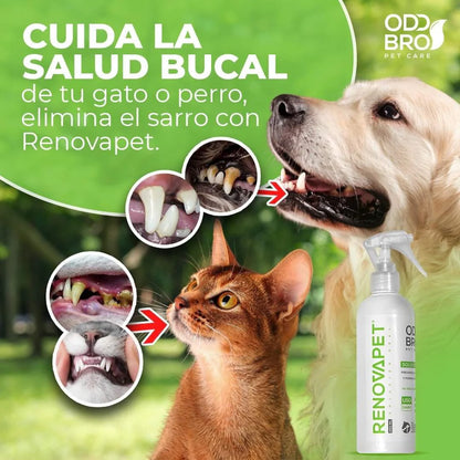 RENOVAPET ORAL 🐶 Adiós al sarro y mal aliento