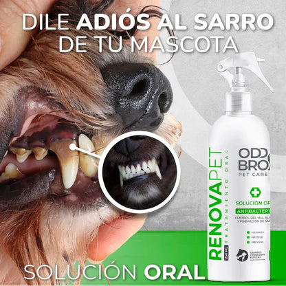 RENOVAPET ORAL 🐶 Adiós al sarro y mal aliento
